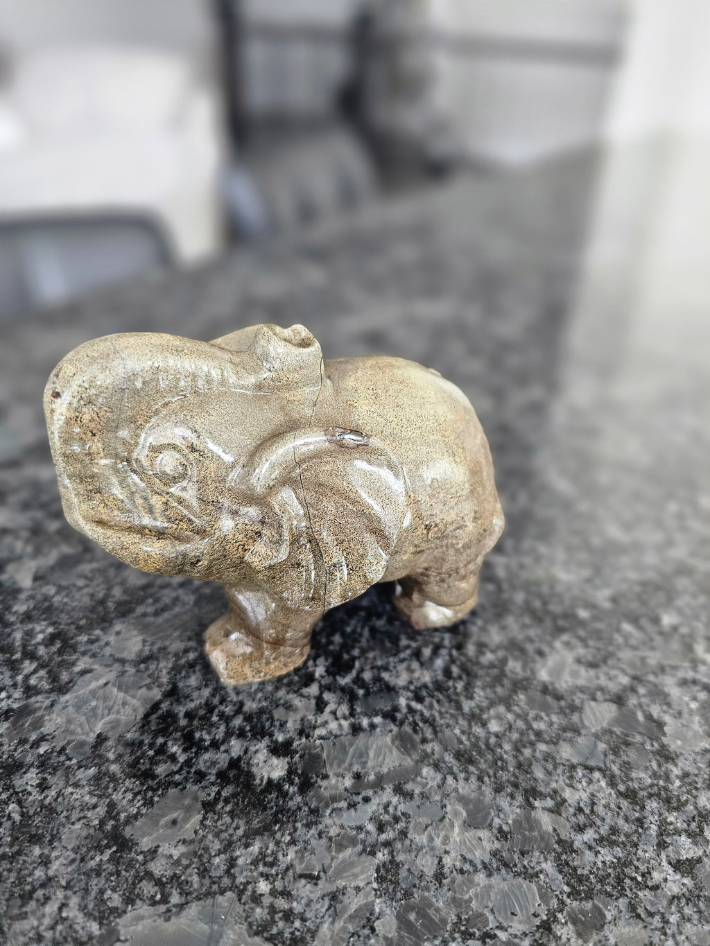 Ocean Jasper hand carved Elephant