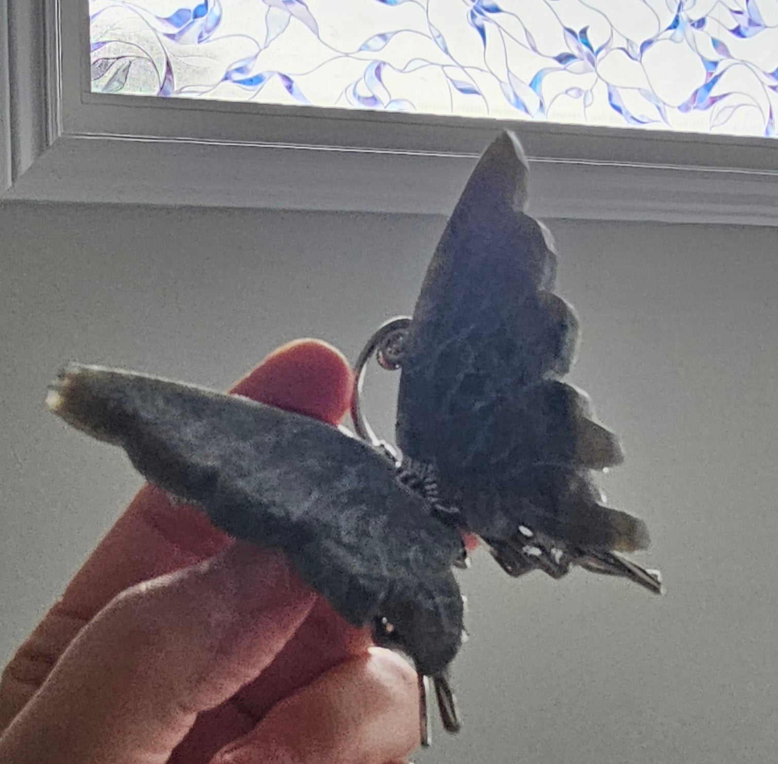Smoke Jade Butterfly