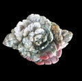 Ocean Jasper Flower