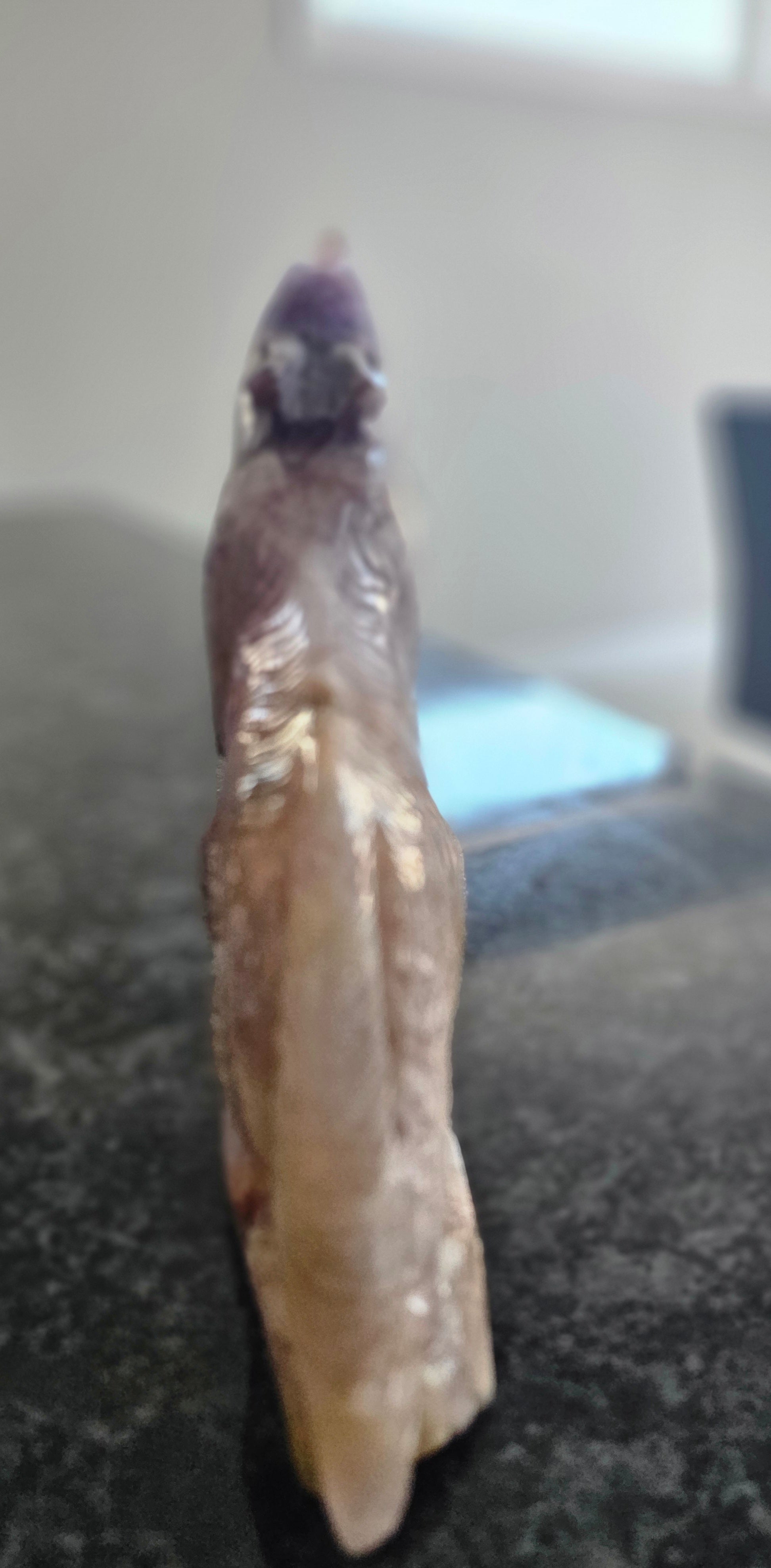 Amethyst Agate Lace wolf sculpture