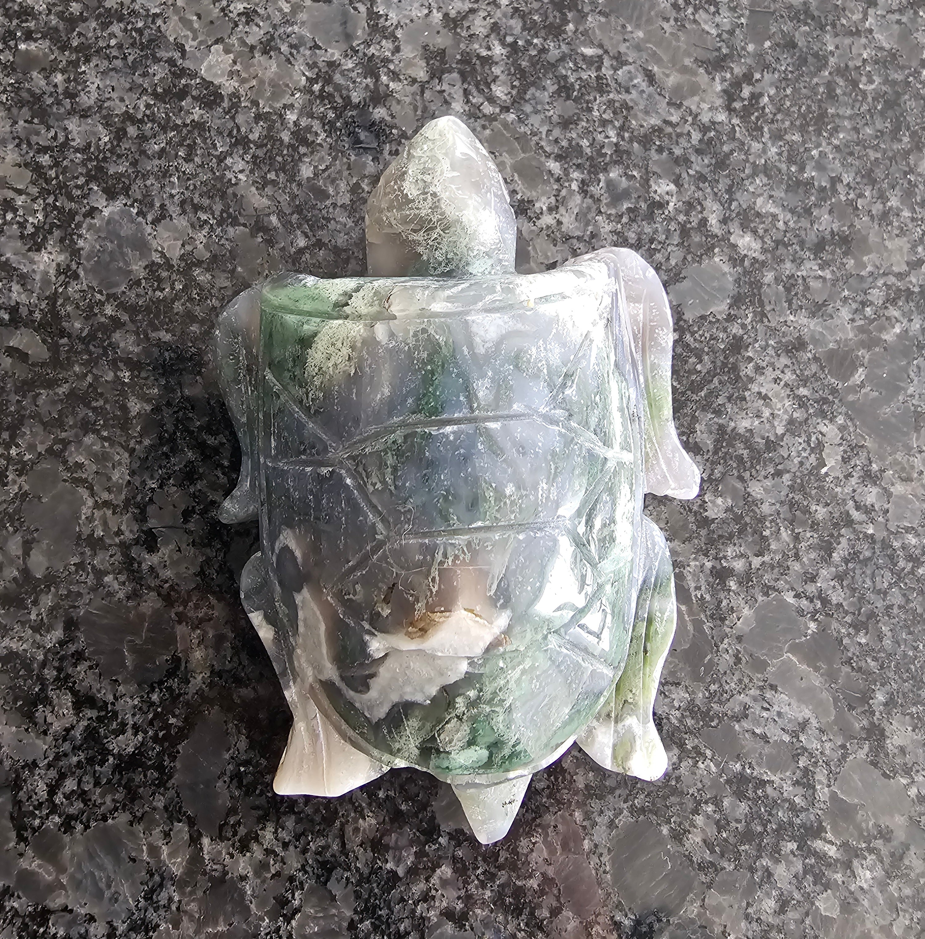 Moss Agate Turtle