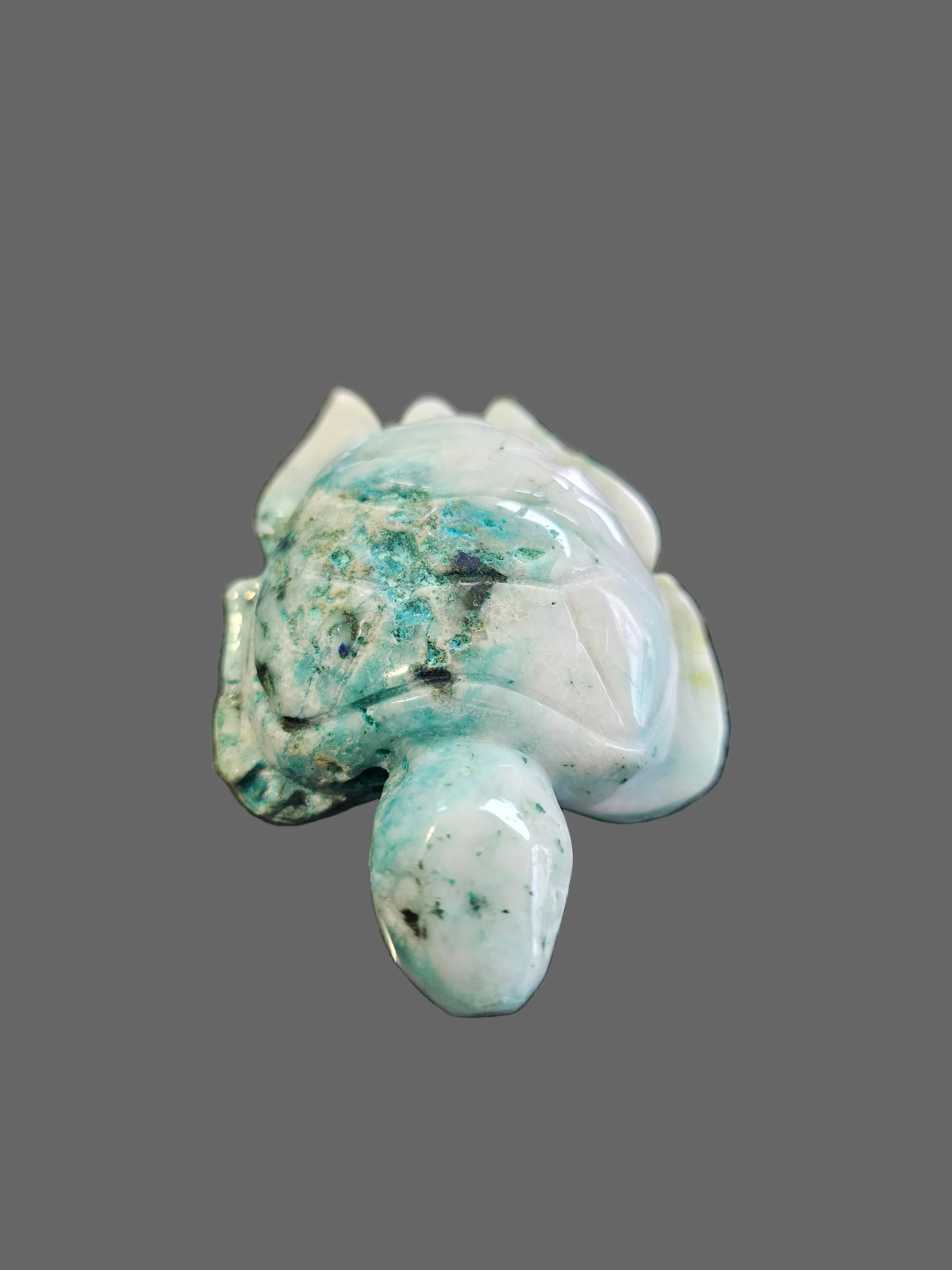 Natural Chrysocolla in Quartz Turtle Carving